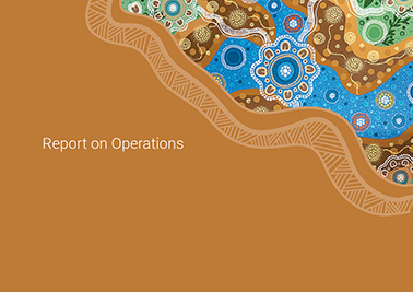 Annual Report - report on operations